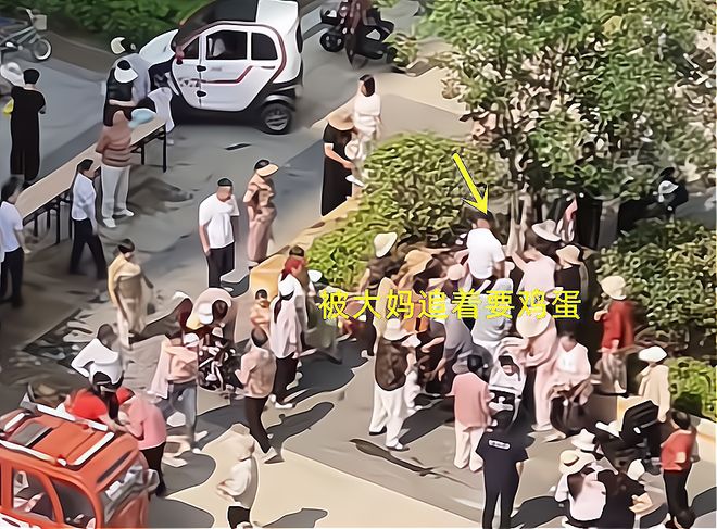包粽子大妈连盆都端走了还围堵物业要鸡蛋P